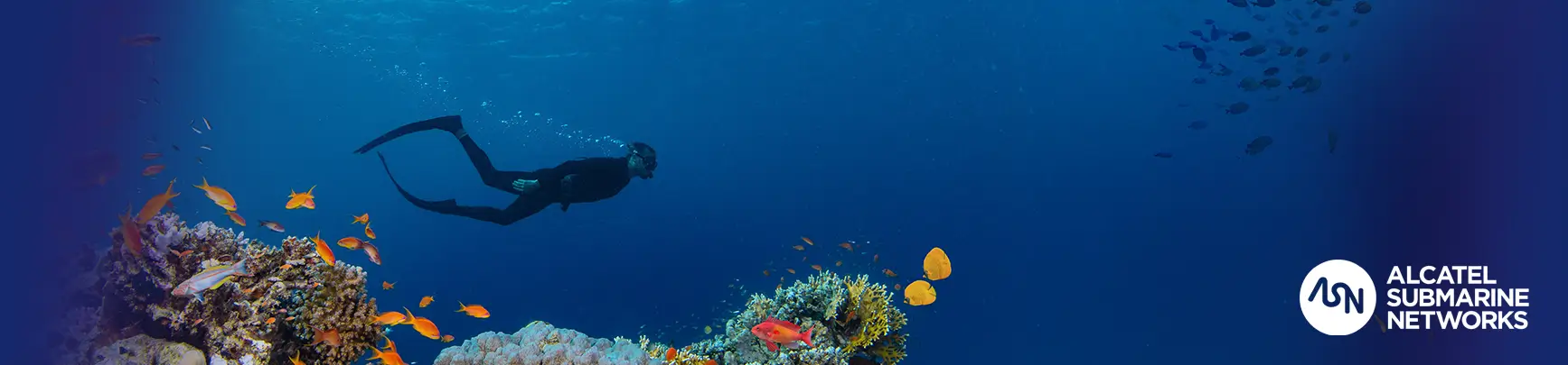 Bandeau général Alcatel Submarine Networks par Aptilink
